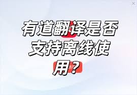 有道词典离线使用