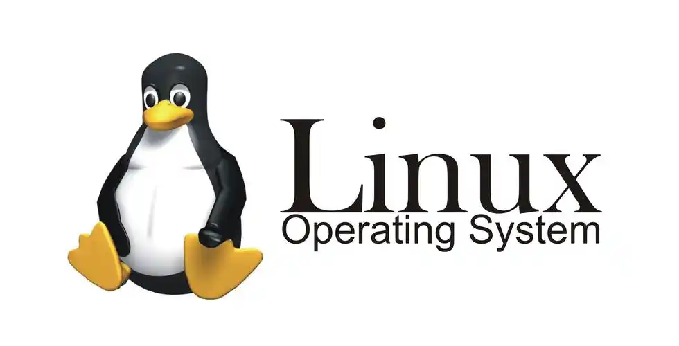 有道翻译 Linux 客户端